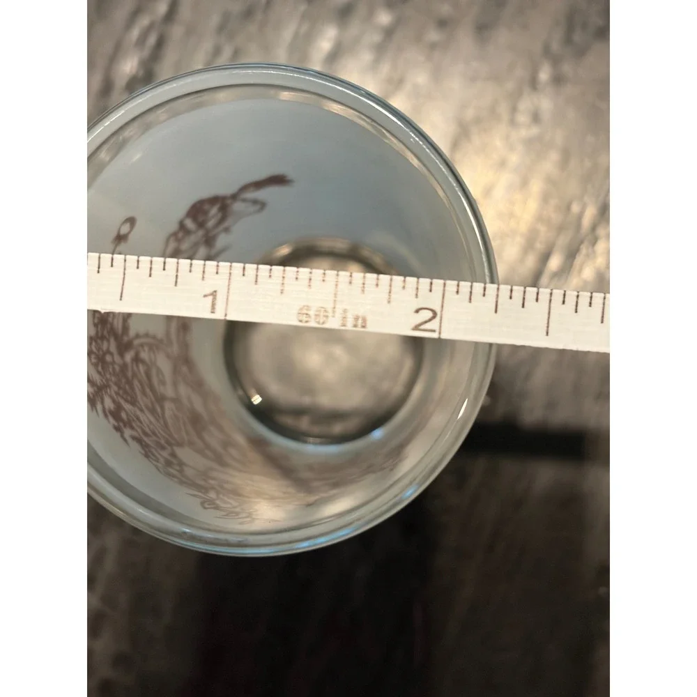 Swanky Swig Vintage MCM Frosted Glass Tumblers Brown Rose Floral 8 Oz Set Of 6